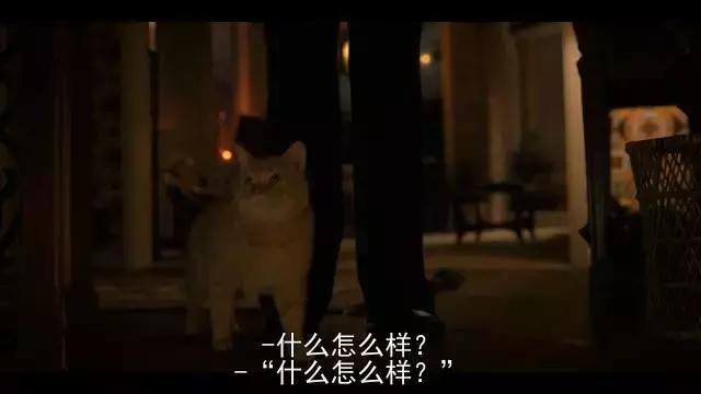 怪奇物语 第二季 斯皮尔伯格致敬 约翰卡朋特灵感_怪奇物语2_怪奇物语 第二季 IMDb8.9 烂番茄94% 豆瓣9.1